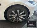 Tesla Model 3 Long Range RWD Blanco - thumbnail 25