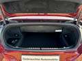 BMW 840 i Cabrio Standhzg.|LC-Prof.|DrivingAssistant Rot - thumbnail 13