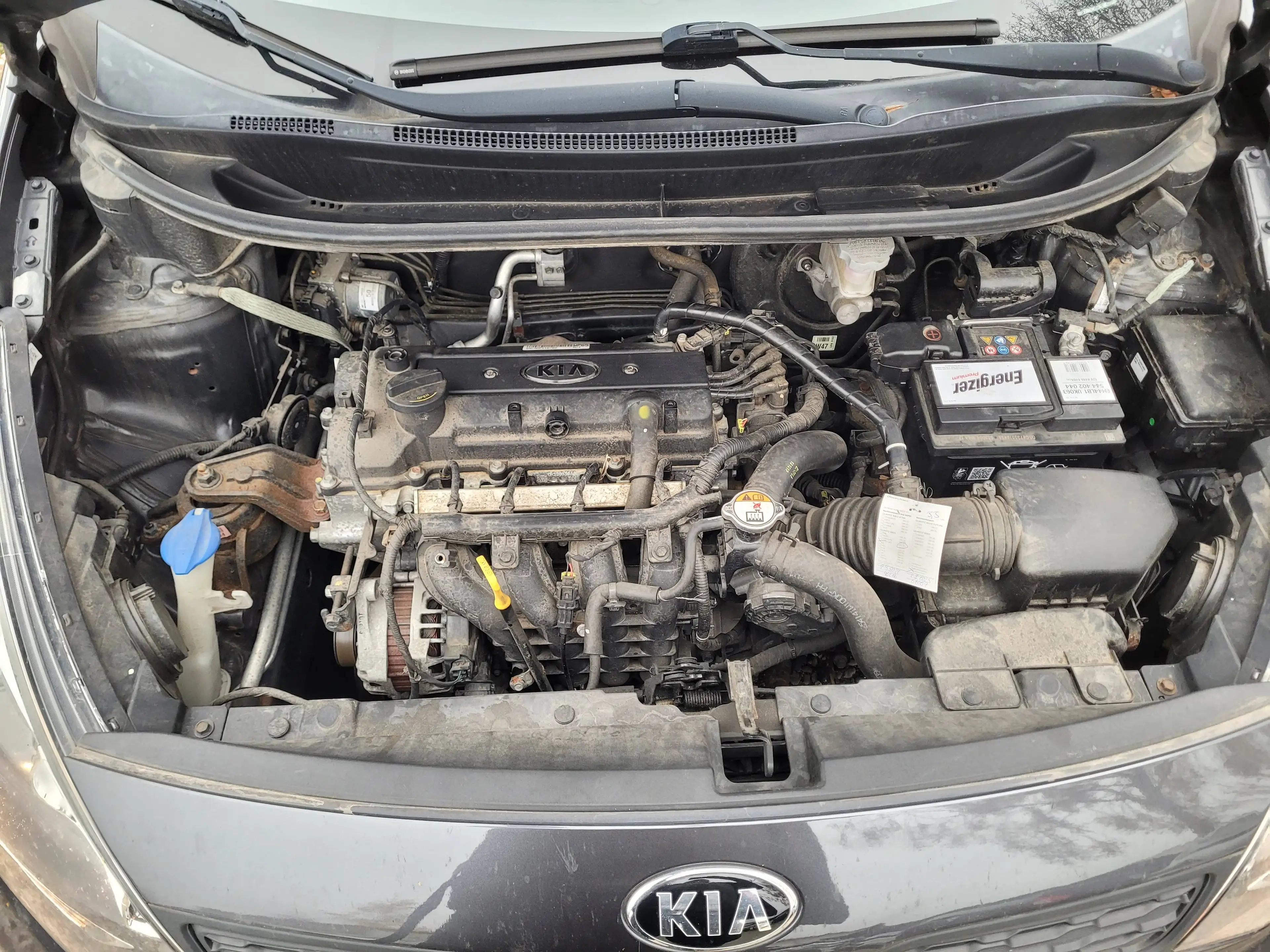 Kia Rio Business Line — photo 13