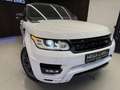 Land Rover Range Rover Sport S 3,0 Aut. / PANO / RFK / LEDER / NAVI / Blanc - thumbnail 5