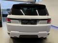 Land Rover Range Rover Sport S 3,0 Aut. / PANO / RFK / LEDER / NAVI / Blanc - thumbnail 8