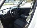 Fiat Doblo 1,3 Diesel -  Kasten Weiß - thumbnail 7