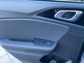 Kia ProCeed / pro_cee'd GT (D4) 1.6 T-GDi 204 GPF 7DCT PANO, NAVI, JBL,... - thumbnail 17