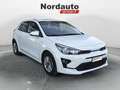 Kia Rio Rio 1.2 DPi 84 CV Style Bianco - thumbnail 3