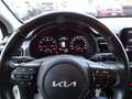 Kia Rio Rio 1.2 DPi 84 CV Style Bianco - thumbnail 14