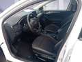 Ford Focus 1.0 MHEV Aut. COOL&CONNECT *AHK*Navi* Weiß - thumbnail 8