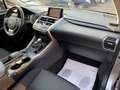 Lexus NX 300h Hybrid 4WD Executive TAGLIANDI UFF. LEXUS Argento - thumbnail 11
