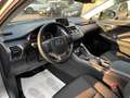 Lexus NX 300h Hybrid 4WD Executive TAGLIANDI UFF. LEXUS Silber - thumbnail 9