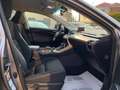Lexus NX 300h Hybrid 4WD Executive TAGLIANDI UFF. LEXUS Argento - thumbnail 12