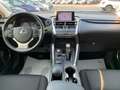 Lexus NX 300h Hybrid 4WD Executive TAGLIANDI UFF. LEXUS Argent - thumbnail 14
