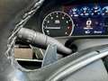 Cadillac CT6 CT6 3.0 V6 TWIN-TURBO AWD Luxury Grau - thumbnail 29