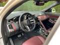 Jaguar E-Pace 1.5 T MHEV P160 R-Dynamic SE  ### 39000 km ### Wit - thumbnail 13