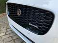 Jaguar E-Pace 1.5 T MHEV P160 R-Dynamic SE  ### 39000 km ### Wit - thumbnail 17