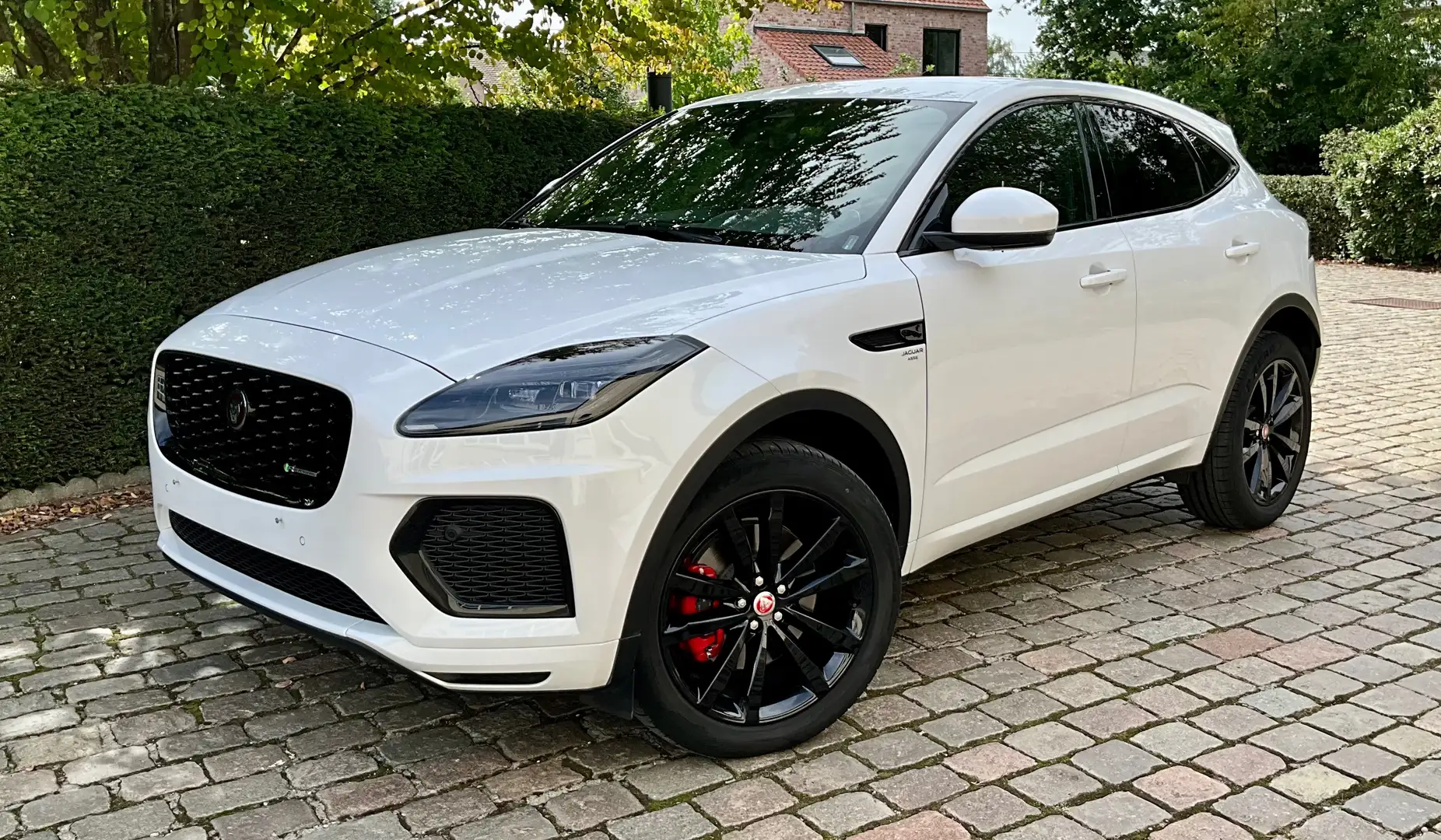 Jaguar E-Pace 1.5 T MHEV P160 R-Dynamic SE  ### 39000 km ### Wit - 1