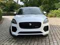 Jaguar E-Pace 1.5 T MHEV P160 R-Dynamic SE  ### 39000 km ### Wit - thumbnail 2