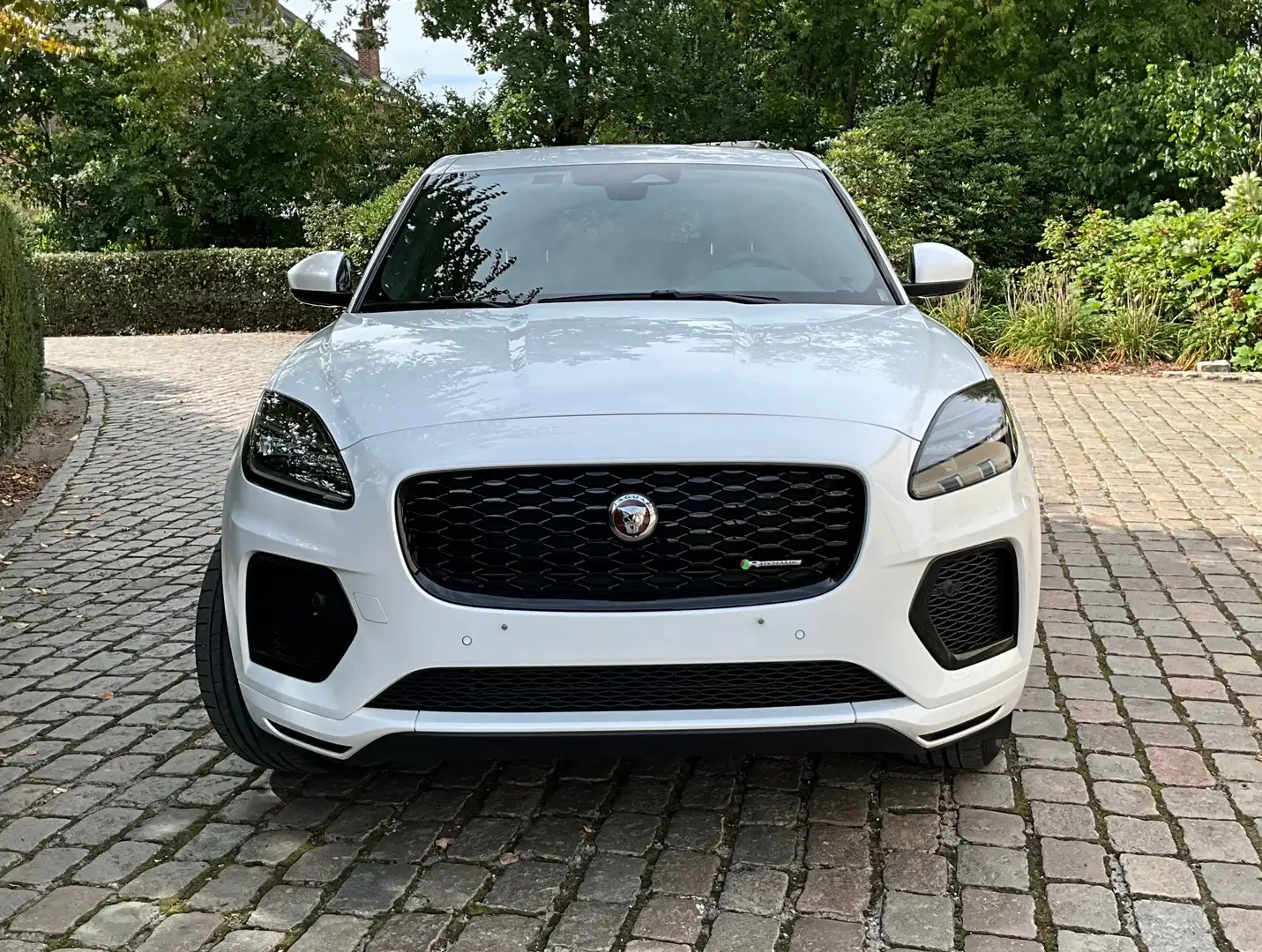 Jaguar E-Pace 1.5 T MHEV P160 R-Dynamic SE  ### 39000 km ### Wit - 2