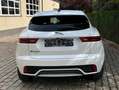 Jaguar E-Pace 1.5 T MHEV P160 R-Dynamic SE  ### 39000 km ### Wit - thumbnail 6