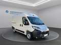 Toyota Proace Max 35 L2H2 2,2 ID 140 Prowork Weiß - thumbnail 30