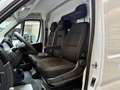 Fiat Ducato 2.2 D L1H1 AUTOMATIK AHK SORTIMO REGALE Gris - thumbnail 19