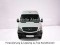 Mercedes-Benz Sprinter 516 CDI *MAXI* WERKSTATT+ AHK (9207) Weiß - thumbnail 4