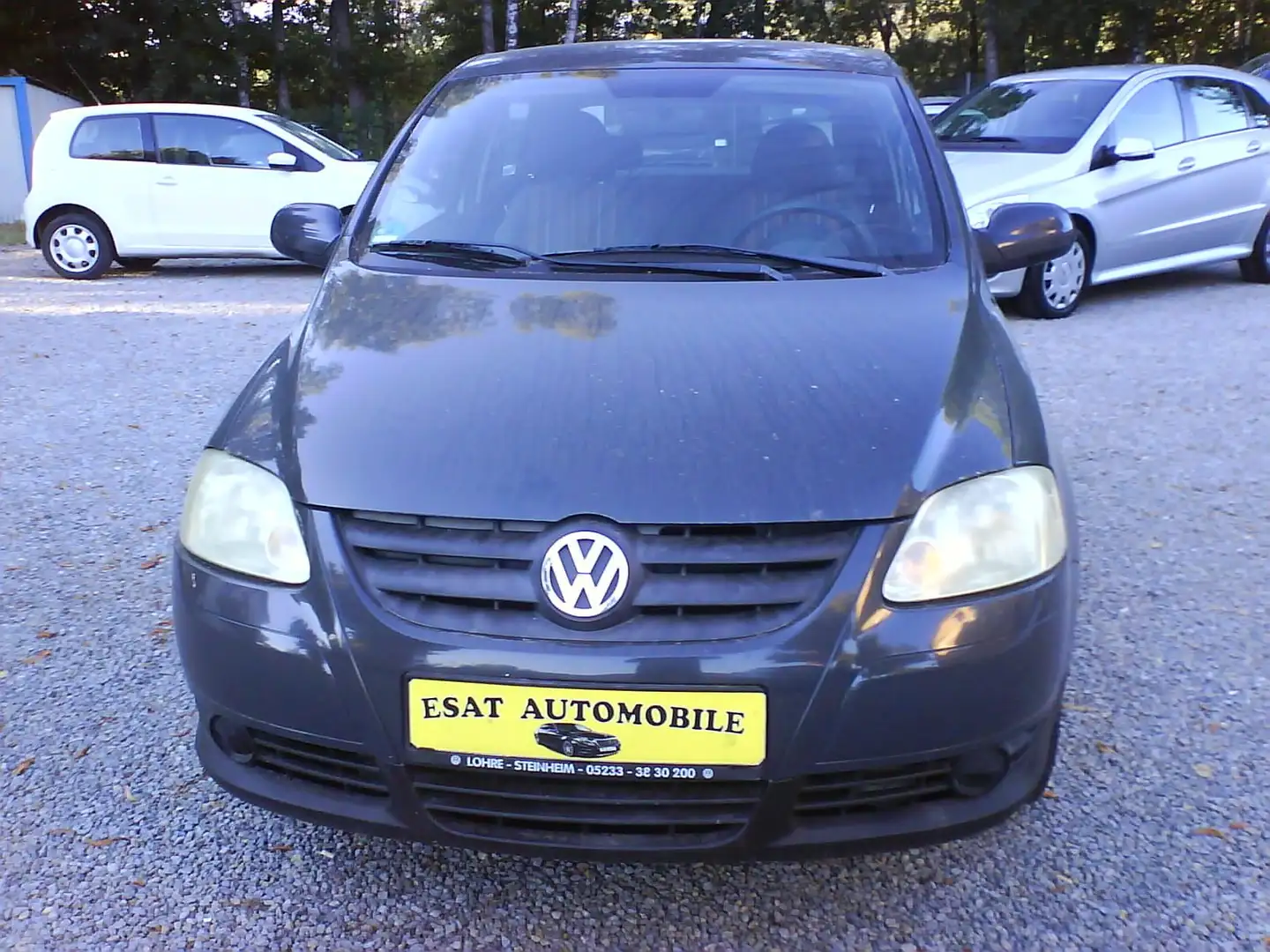 Volkswagen Fox Basis Grau - 2
