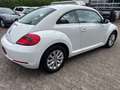 Volkswagen Beetle Design BMT  Navi/Sitzhzg/Bluetooth/1.Hand Blanc - thumbnail 4