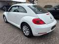 Volkswagen Beetle Design BMT  Navi/Sitzhzg/Bluetooth/1.Hand Blanc - thumbnail 6