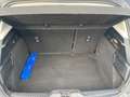 Ford Focus 1.0 EcoBoost Hybrid 125 CV 5p. Active Style Grau - thumbnail 18