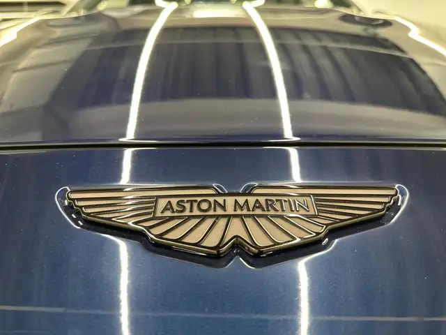 Aston Martin DBX view 14