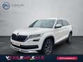 Skoda Kodiaq 4x4 SCOUT TDI DSG Blanco - thumbnail 1