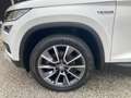 Skoda Kodiaq 4x4 SCOUT TDI DSG Blanco - thumbnail 17