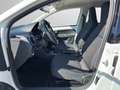 Volkswagen e-up! United RFK GRA CCS WSSheizb SHZ LM15 DAB Weiß - thumbnail 10