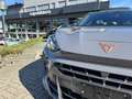 CUPRA Terramar 2.0 TSI DSG 4Drive VZ+TETTO+HEAD-up+NAVI Grau - thumbnail 4