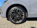 CUPRA Terramar 2.0 TSI DSG 4Drive VZ+TETTO+HEAD-up+NAVI Grau - thumbnail 8