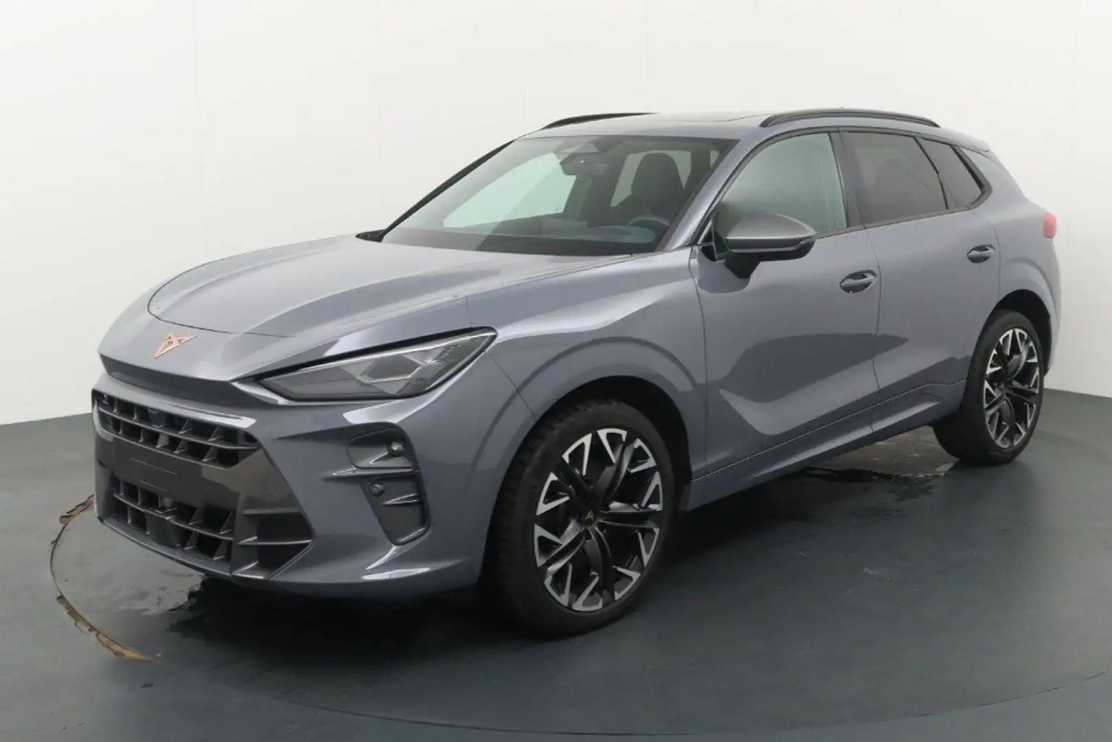 CUPRA Terramar 2.0 TSI DSG 4Drive VZ+TETTO+HEAD-up+NAVI Grigio - 1