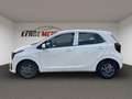 Kia Picanto Vision 1.0 *NAVI+KAMERA+KLIMA+SPURH+DAB* Bianco - thumbnail 2