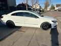Volkswagen CC Highline 2.0TDI DSG Leder Xenon Glasdach Navi Top Blanco - thumbnail 4