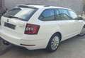 Skoda Octavia Octavia Combi 1.0 TSI 116 ch Drive 12 mois de gara Wit - thumbnail 5