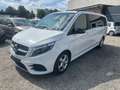 Mercedes-Benz V 250 AMG line Extralang,8Sitzer,2x Schiebetüren Weiß - thumbnail 1