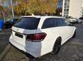 Mercedes-Benz E 300 AMG BlueTec neuer Motor Weiß - thumbnail 5