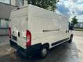 Peugeot Boxer Kasten Hochraum 335 L3H2 Premium BlueHDi 1 Alb - thumbnail 4