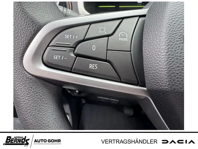Dacia Spring view 12