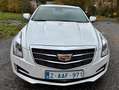 Cadillac ATS ATS Coupé 2.0 Turbo RWD Premium 63940 km !! Bianco - thumbnail 2
