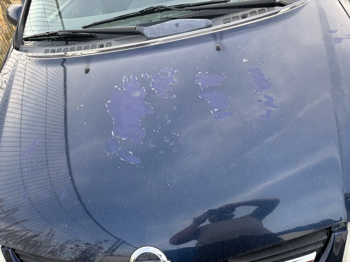 Nissan Almera Tino - 1