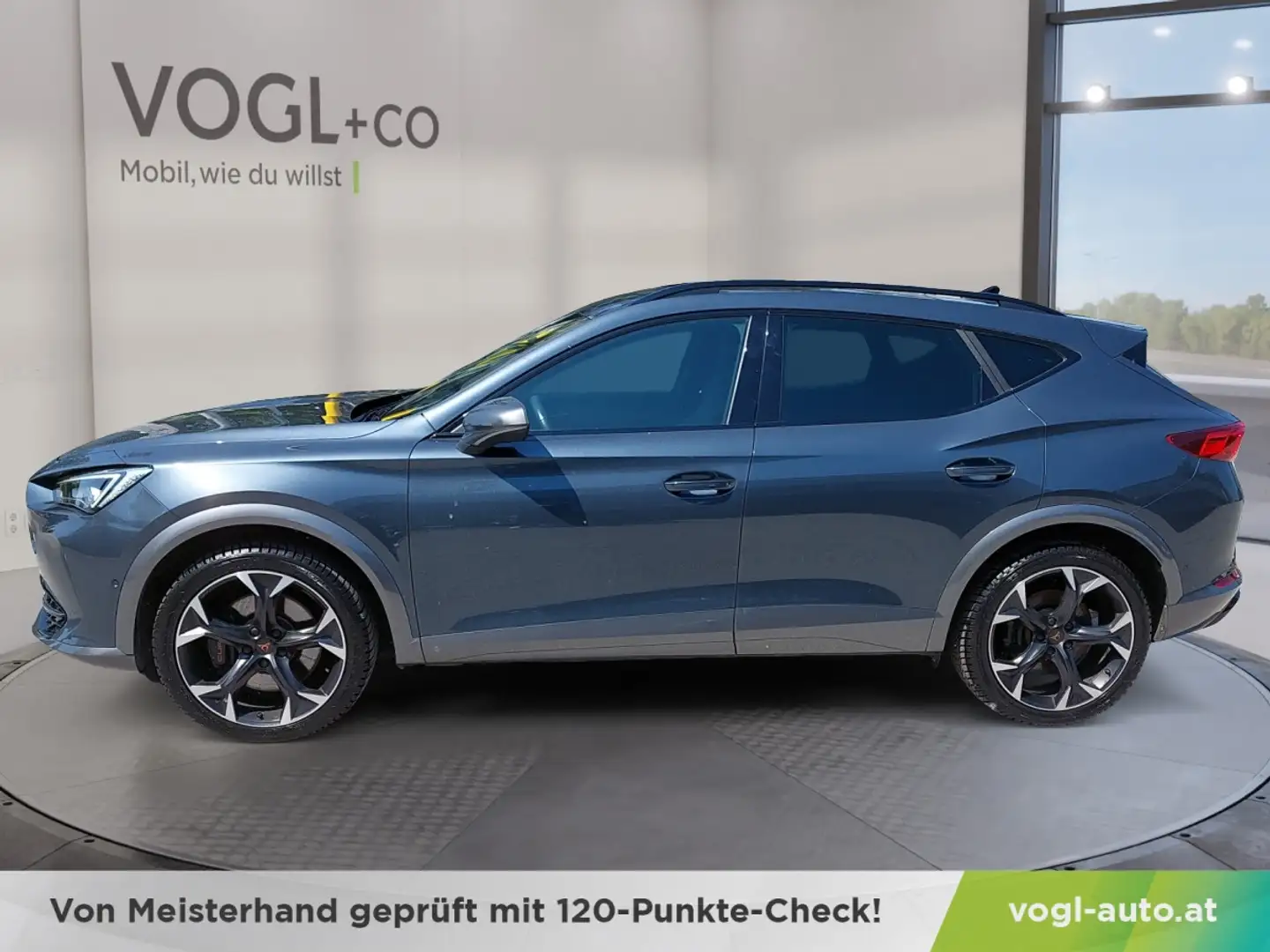 CUPRA Formentor Formentor 2.0 TSI VZ 4Drive Grau - 2