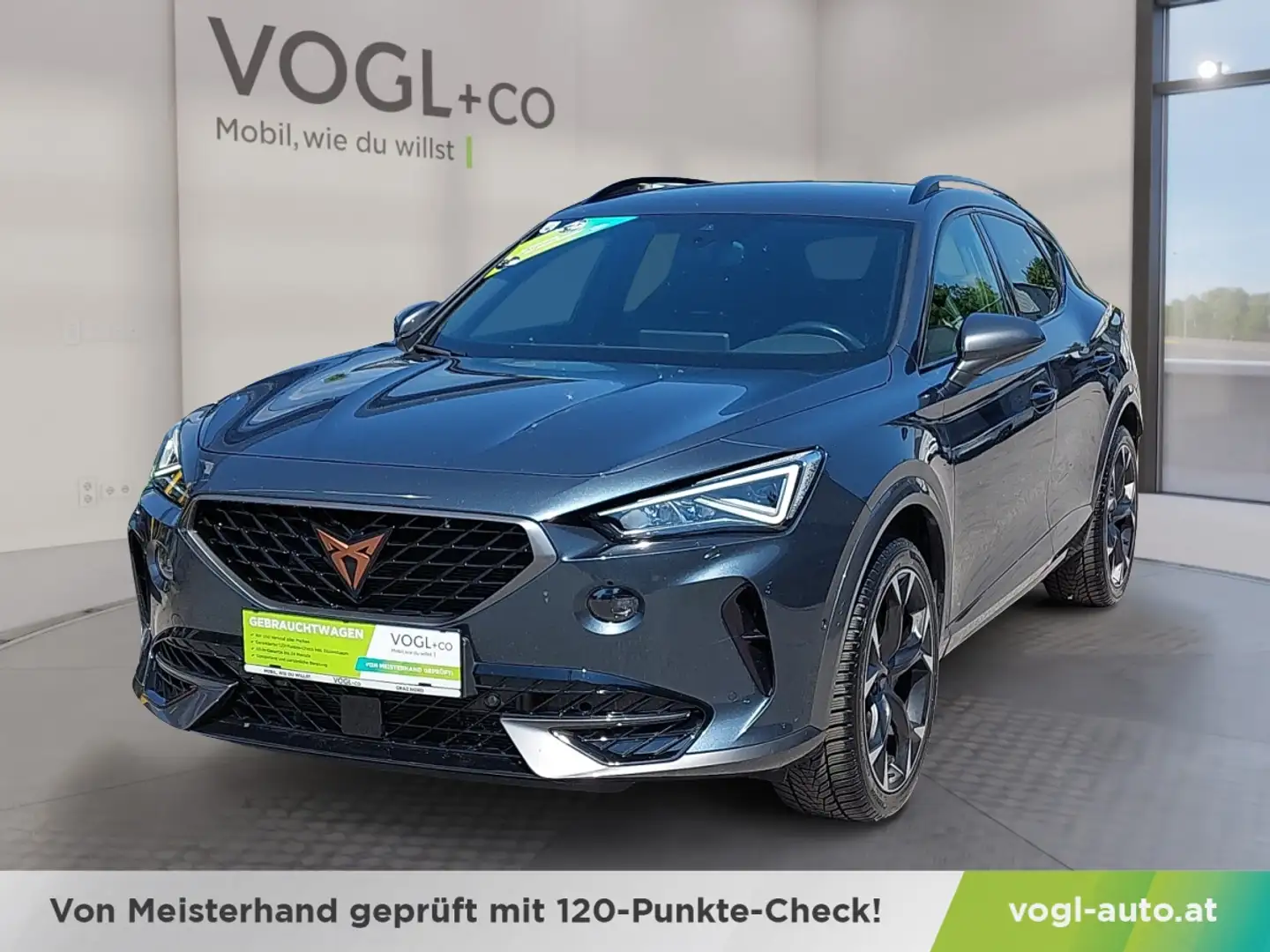 CUPRA Formentor Formentor 2.0 TSI VZ 4Drive Grau - 1