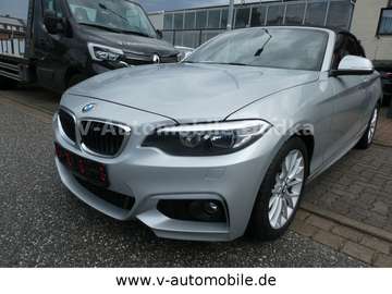 i Cabrio M Sport Paket Leder