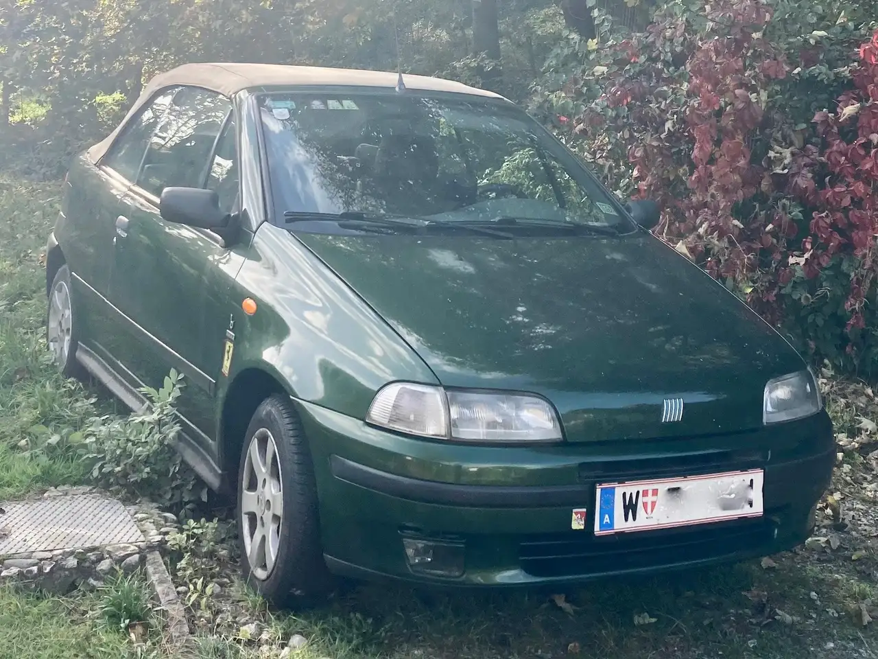Fiat Punto Cabrio 90 ELX, foto 4