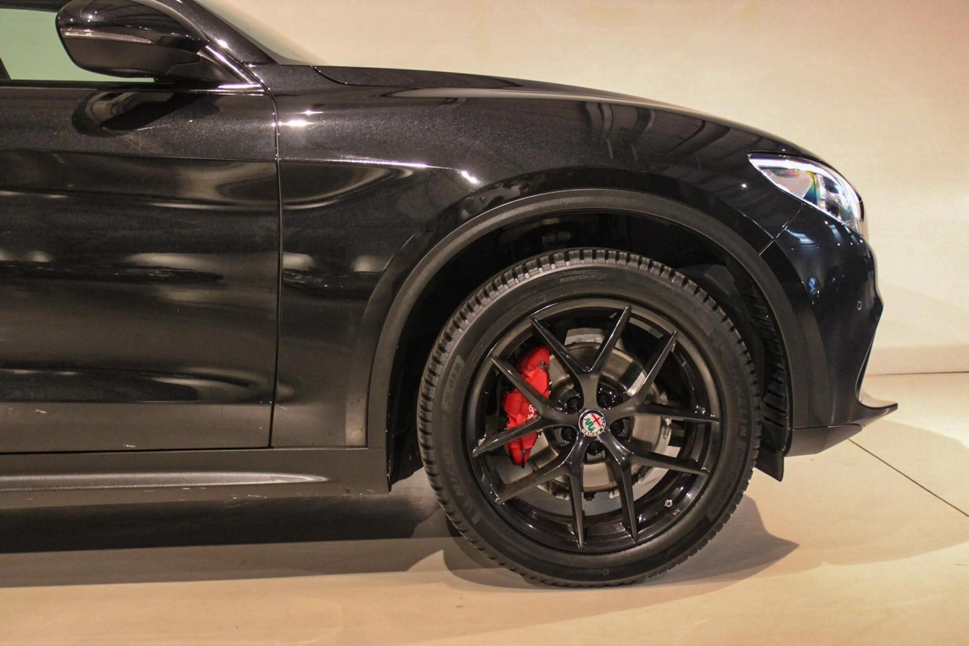 Alfa Romeo Stelvio 2.0 T AWD Q4 First Edition PANO | LEER — photo 19