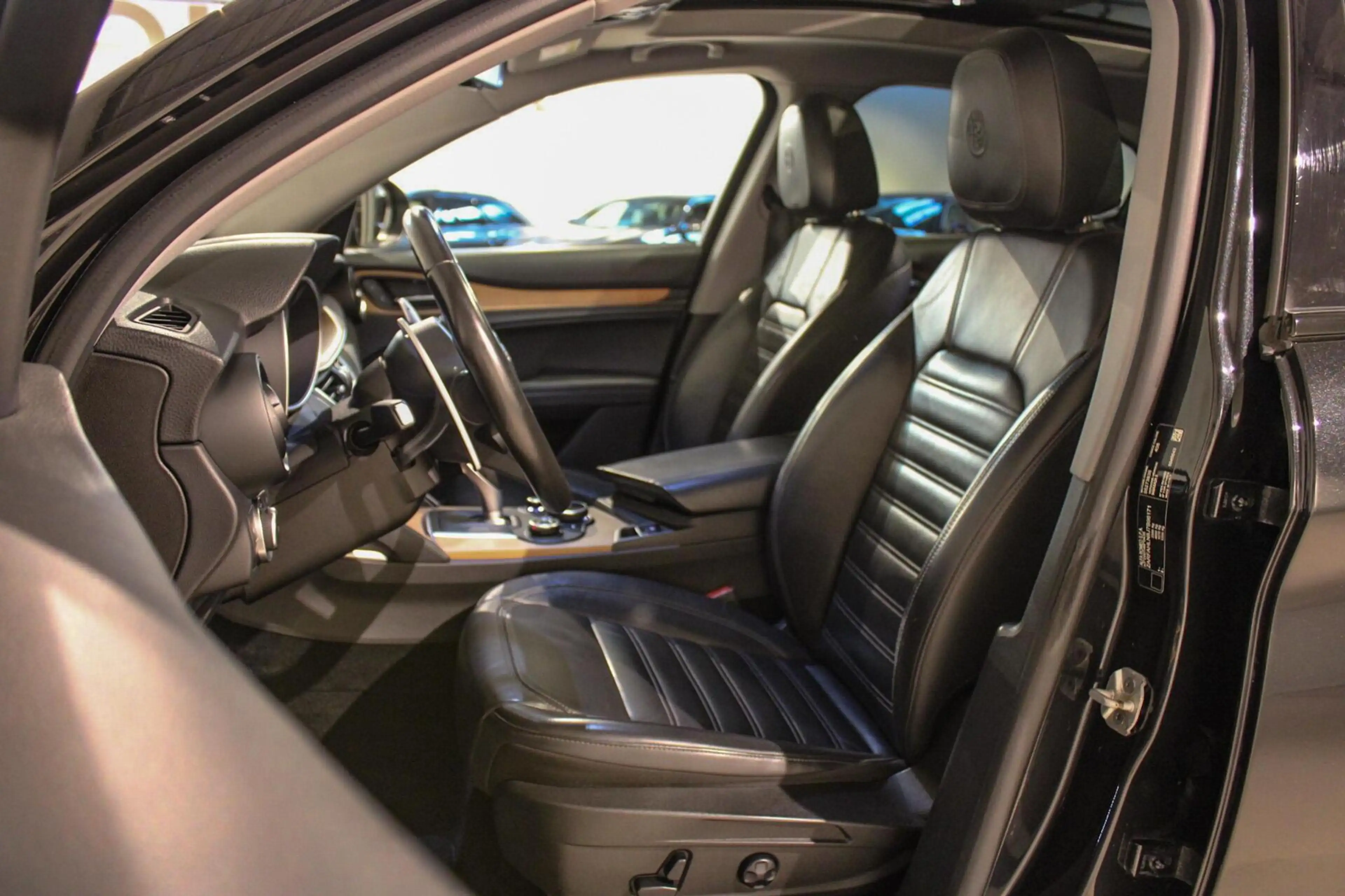 Alfa Romeo Stelvio 2.0 T AWD Q4 First Edition PANO | LEER — photo 12